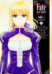 フェイト/ステイナイト 第01-20巻 [Fate/Stay Night vol 01-20]