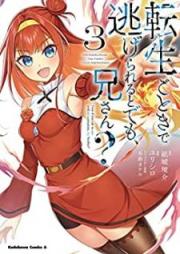 転生ごときで逃げられるとでも、兄さん？ 第01-03巻 [Tensho Gotoki de Nigerareru to Demo Niisan vol 01-03]